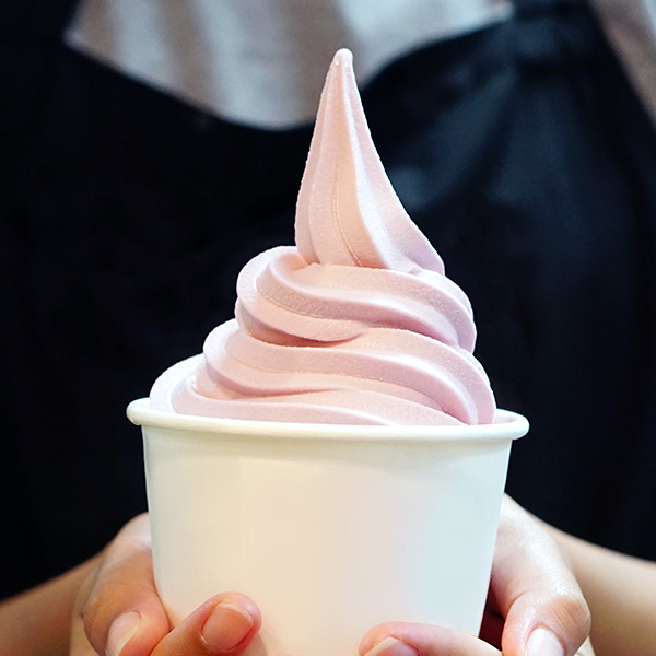 Machine à glace soft et frozen yogurt professionnel par gravité